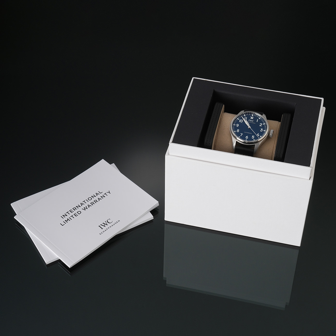 빅 파일럿 워치